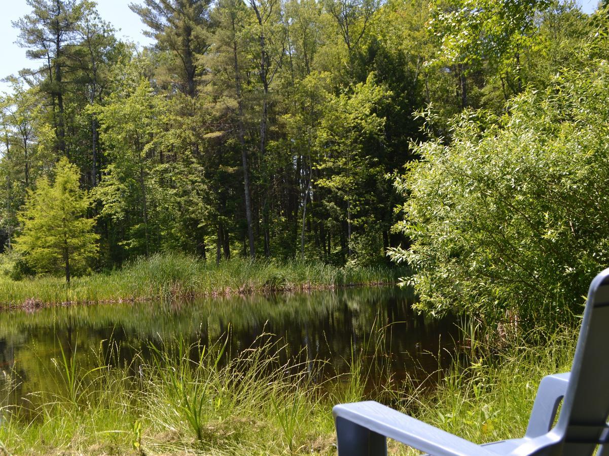 The Inn At Weathersfield Perkinsville المظهر الخارجي الصورة